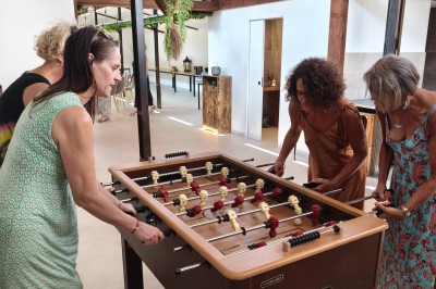 Trois pots de rillettes de canard et de poulet posés sur un lit de feuilles vertes en extérieur.