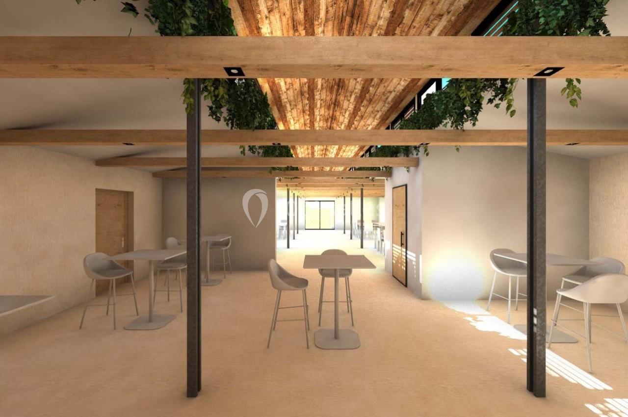 Salle lumineuse avec tables et chaises modernes, plafond en bois, plantes suspendues et grandes ouvertures vitrées.