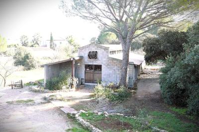Miniature Location salle Villetelle (Hérault) - Domaine d'Ambrussum Events #10 Trois pots de rillettes de canard et de poulet posés sur un lit de feuilles vertes en extérieur.