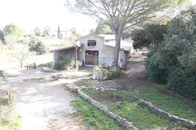 Miniature Location salle Villetelle (Hérault) - Domaine d'Ambrussum Events #20 Trois pots de rillettes de canard et de poulet posés sur un lit de feuilles vertes en extérieur.