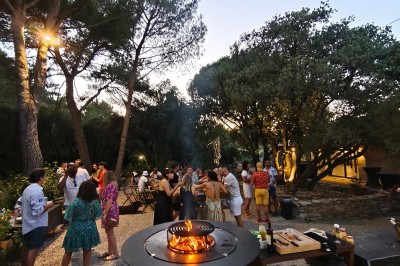 Des oies blanches se promènent dans un enclos herbeux, avec un arbre et une clôture en arrière-plan.