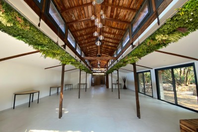 Des oies blanches se promènent dans un enclos herbeux, avec un arbre et une clôture en arrière-plan.