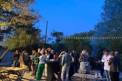 Des oies blanches se promènent dans un enclos herbeux, avec un arbre et une clôture en arrière-plan.