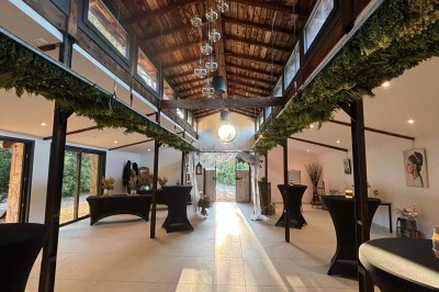 Des oies blanches se promènent dans un enclos herbeux, avec un arbre et une clôture en arrière-plan.