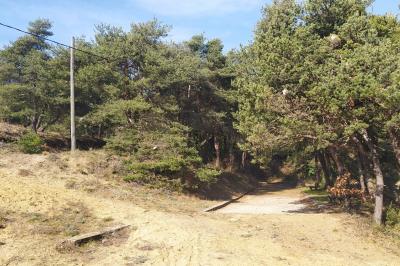 Douche moderne avec paroi vitrée, pommeau mural et lavabo blanc dans une salle de bain aux murs clairs.