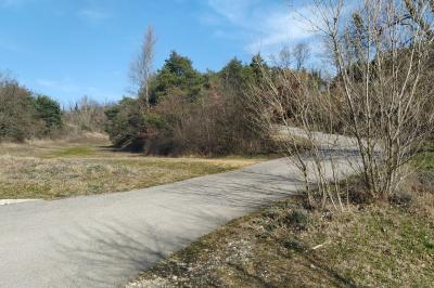 Douche moderne avec paroi vitrée, pommeau mural et lavabo blanc dans une salle de bain aux murs clairs.