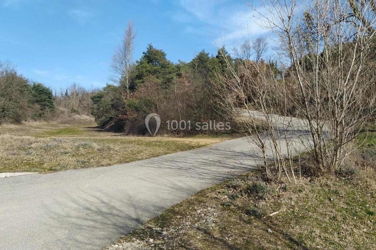 Chemin asphalté sinueux entouré de végétation clairsemée et d'arbres sous un ciel bleu dégagé.
