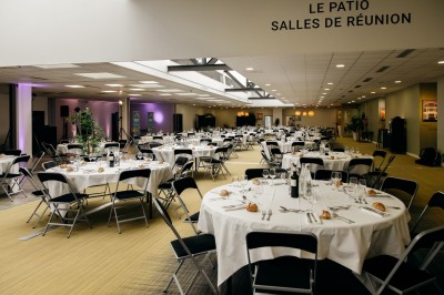 Plusieurs Citroën 2CV colorées alignées sur un parking ensoleillé.