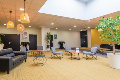 Plusieurs Citroën 2CV colorées alignées sur un parking ensoleillé.