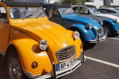 Plusieurs Citroën 2CV colorées alignées sur un parking ensoleillé.