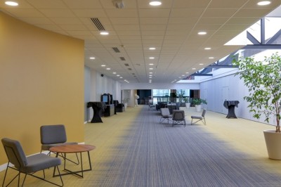 Plusieurs Citroën 2CV colorées alignées sur un parking ensoleillé.