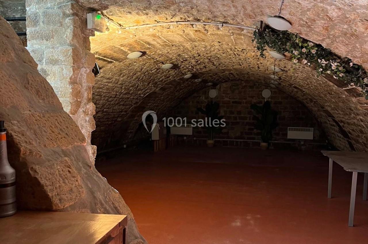 Une cave voûtée en pierre avec un sol en terre cuite, éclairée par des lampes murales et décorée de plantes.