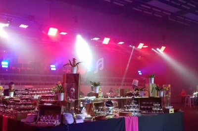 Buffet décoré avec des desserts et des plantes, éclairé par des lumières colorées dans une grande salle événementielle.
