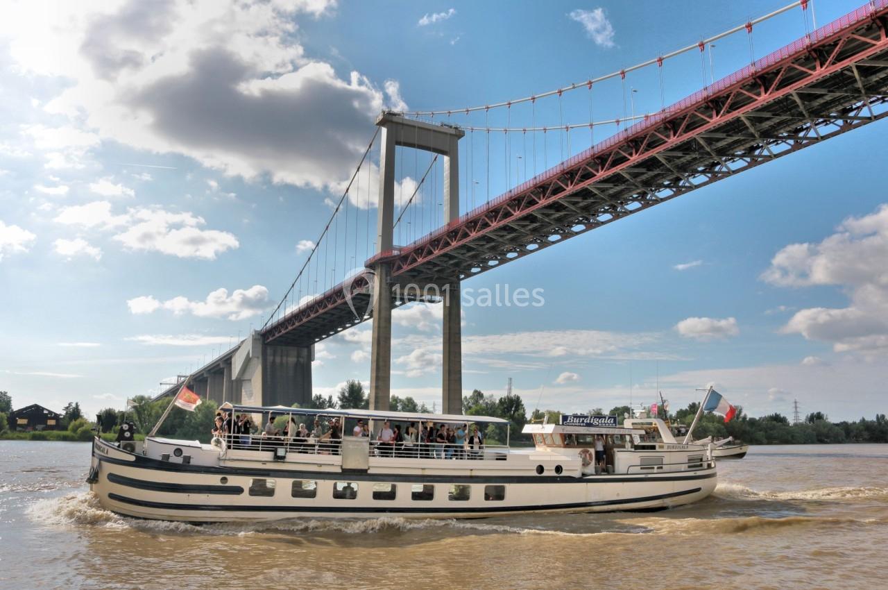 Bateau de tourisme naviguant sur un fleuve sous un pont suspendu par une journée ensoleillée.