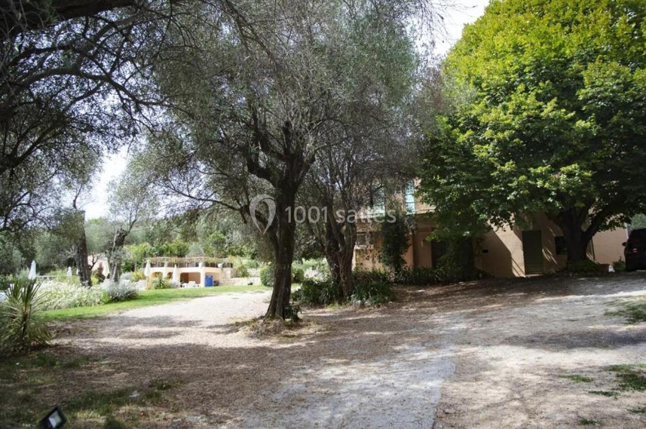 Allée ombragée bordée d'arbres menant à une maison entourée de végétation méditerranéenne.