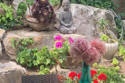 Assiette garnie d'un jarret d'agneau, légumes, pommes de terre rôties, sur une table dressée avec boissons et décorations.