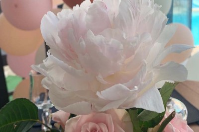 Assiette garnie d'un jarret d'agneau, légumes, pommes de terre rôties, sur une table dressée avec boissons et décorations.