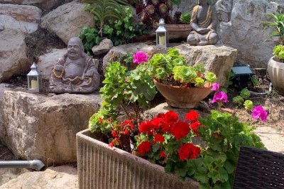 Assiette garnie d'un jarret d'agneau, légumes, pommes de terre rôties, sur une table dressée avec boissons et décorations.
