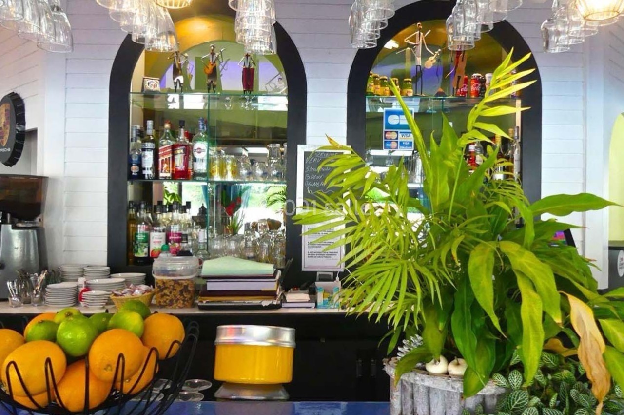 Comptoir de bar avec fruits frais, plantes décoratives et étagères remplies de bouteilles et verres en arrière-plan.