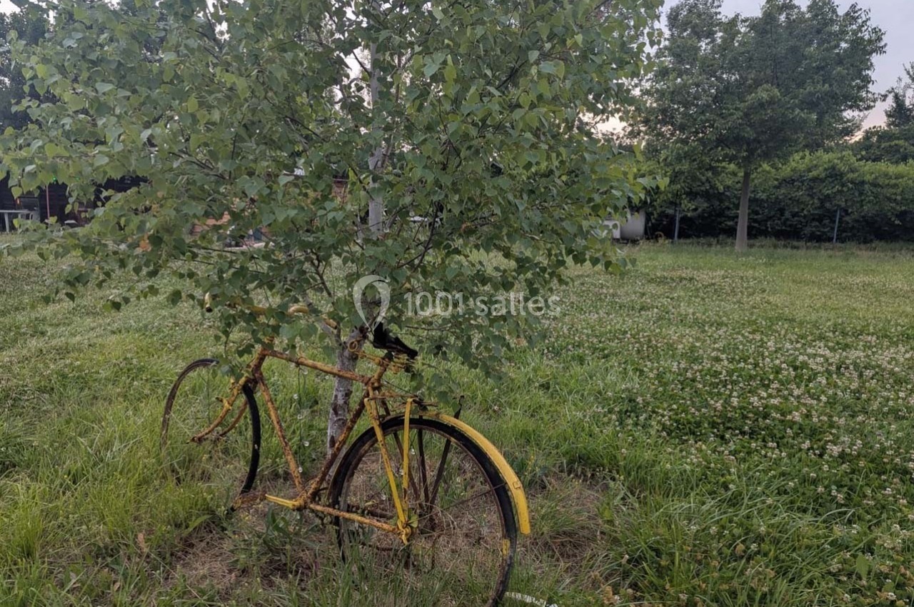 Un vieux vélo rouillé adossé à un arbre dans un champ verdoyant parsemé de trèfles.