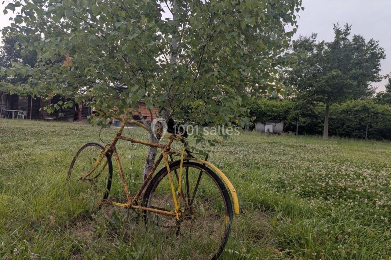 Un vieux vélo jaune appuyé contre un arbre dans un champ verdoyant parsemé de trèfles.