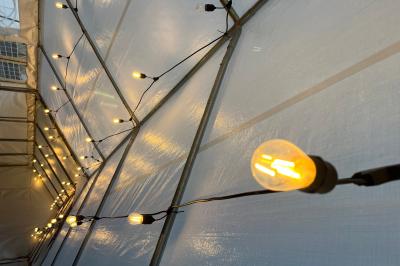 Tente blanche avec parois transparentes installée en extérieur sur un sol gravillonné, entourée d'arbres.