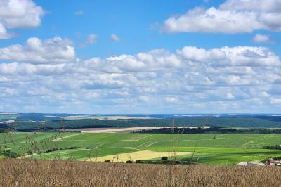 Paysage rural avec des champs cultivés, une maison isolée et une forêt en arrière-plan sous un ciel bleu.