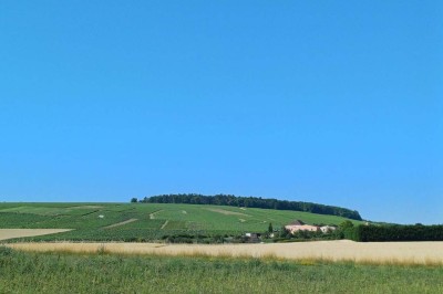 Paysage rural avec des champs cultivés, une maison isolée et une forêt en arrière-plan sous un ciel bleu.