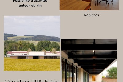 Miniature Location salle Chablis (Yonne) - Le Kimmeridgien #32 Paysage rural avec des champs cultivés, une maison isolée et une forêt en arrière-plan sous un ciel bleu.