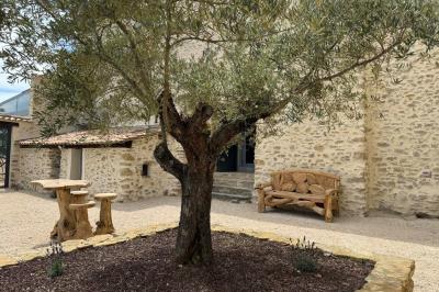 Miniature Location salle Peyruis (Alpes-de-Haute-Provence) - Les Grandes Mollières #8 Salle de bain moderne avec toilettes suspendues, lavabo design, meuble en bois et plantes décoratives.