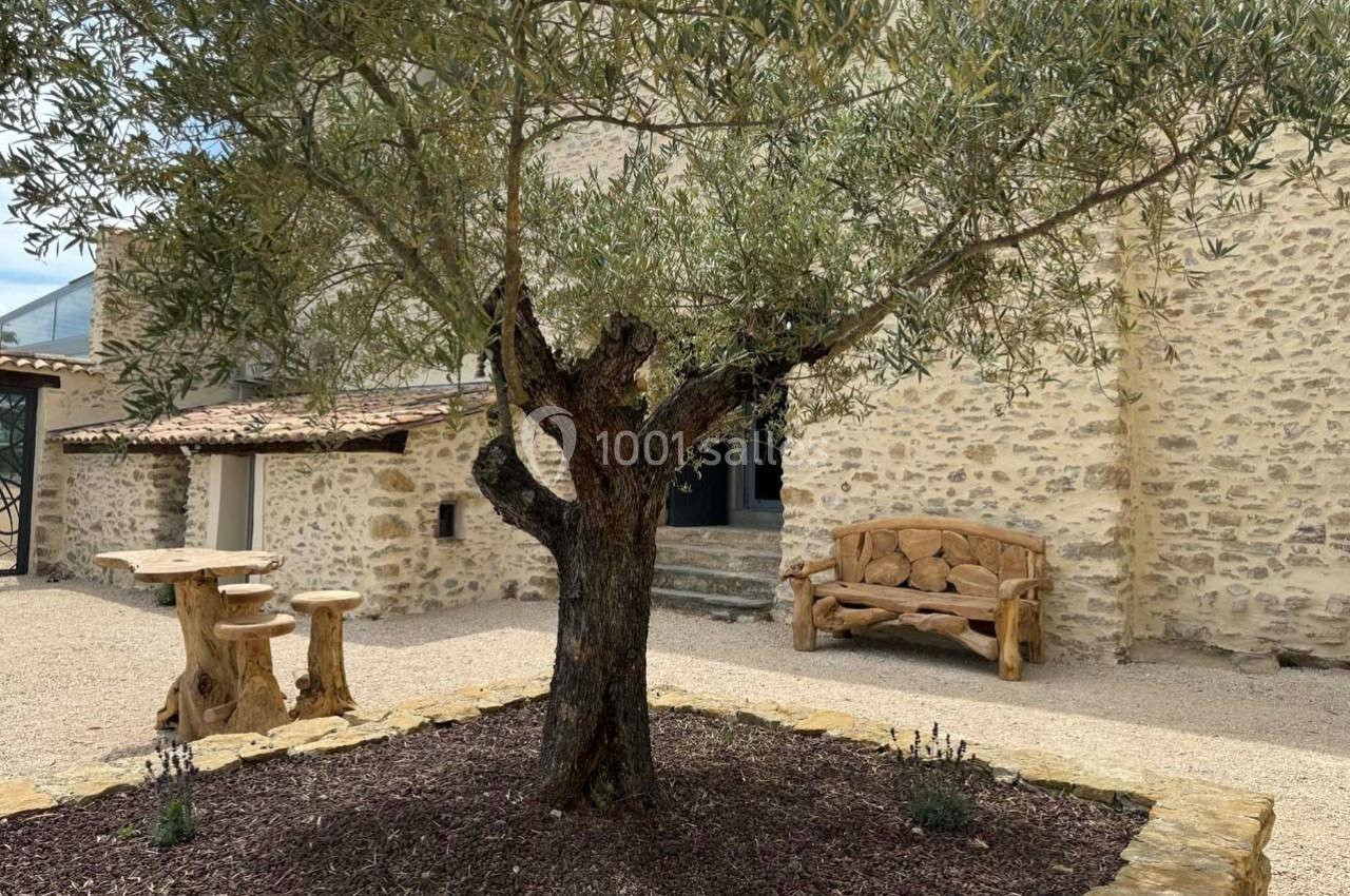 Un olivier planté dans une cour en gravier, entouré de murs en pierre et de mobilier en bois rustique.