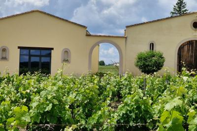 Lit avec tête de lit en métal blanc, draps et oreillers blancs, lampe de chevet sur une table contre un mur vert.