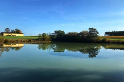 Lit avec tête de lit en métal blanc, draps et oreillers blancs, lampe de chevet sur une table contre un mur vert.