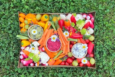 Food And Beyond Food And Beyond