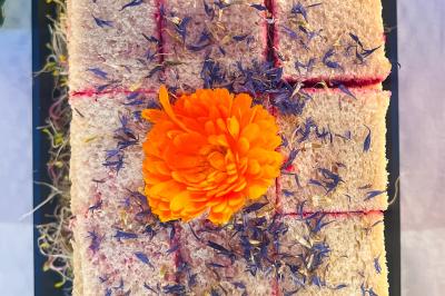 Sandwiches colorés empilés avec des garnitures variées, entourés de roquette et d'olives vertes.