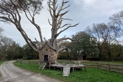 Maison en pierre entourée de verdure, avec un chemin de gravier, des arbres et un jardin en premier plan.