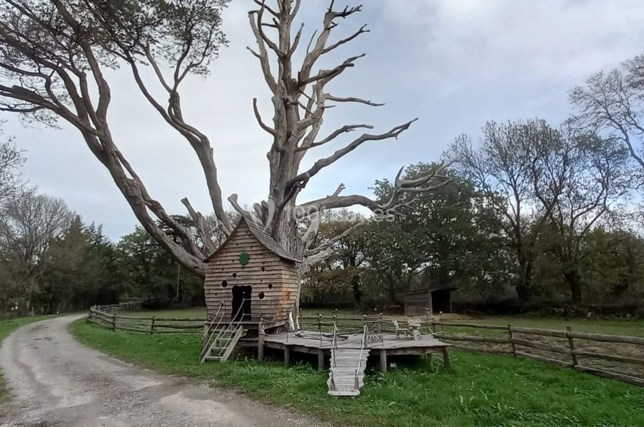 Cabane en bois intégrée dans un arbre mort, entourée de clôtures et située près d'un chemin de campagne.