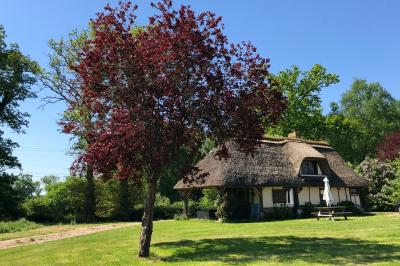 Chaise en bois clair avec dossier croisé et assise en rotin, vue de face sur fond blanc.