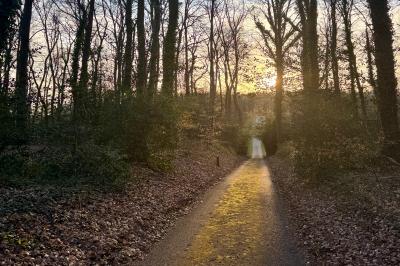 Chaise en bois clair avec dossier croisé et assise en rotin, vue de face sur fond blanc.