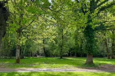 Chaise en bois clair avec dossier croisé et assise en rotin, vue de face sur fond blanc.