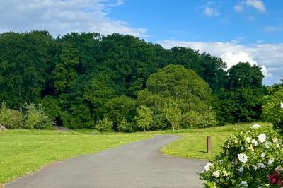 Chaise en bois clair avec dossier croisé et assise en rotin, vue de face sur fond blanc.