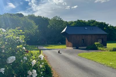 Chaise en bois clair avec dossier croisé et assise en rotin, vue de face sur fond blanc.