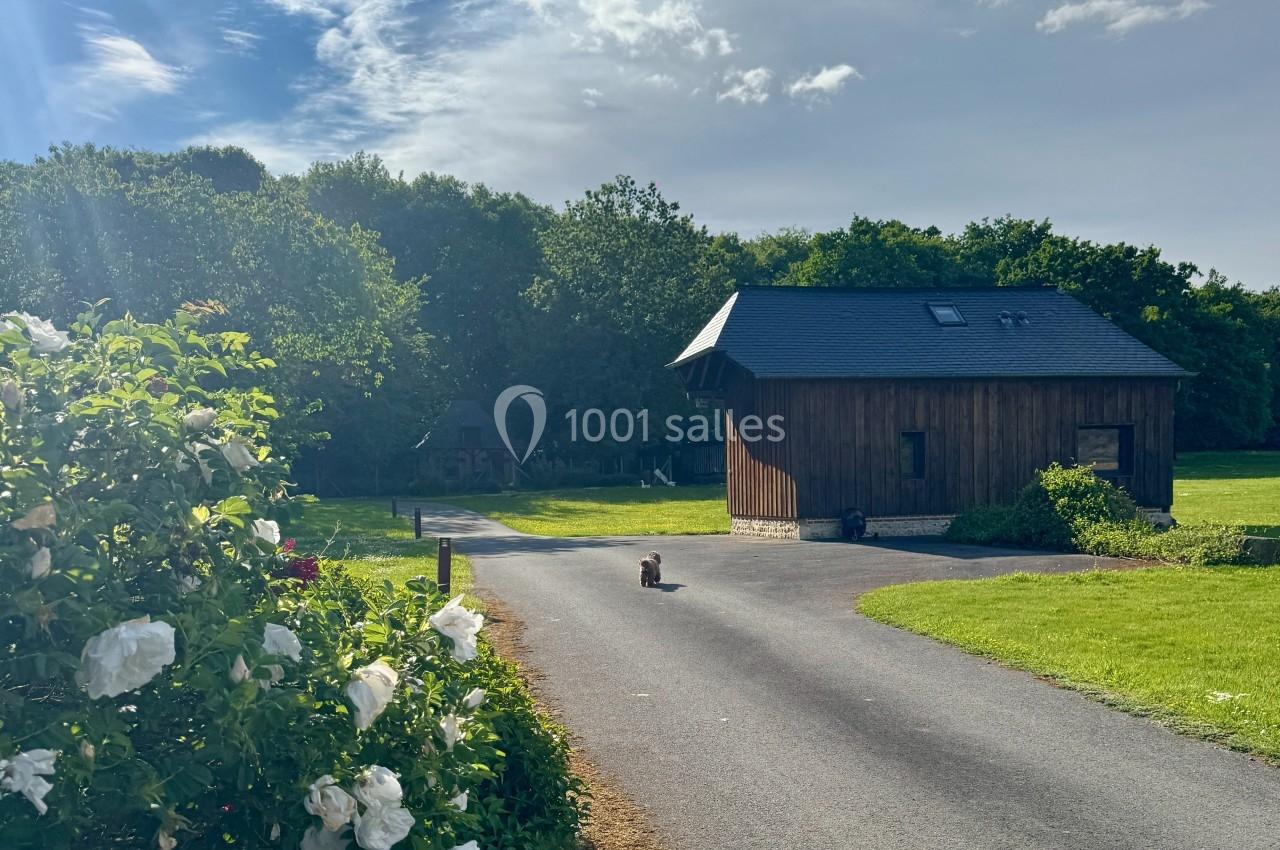 Petit chemin asphalté menant à une maison en bois entourée de verdure, avec un chat assis au centre.