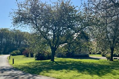Chaise en bois clair avec dossier croisé et assise en rotin, vue de face sur fond blanc.