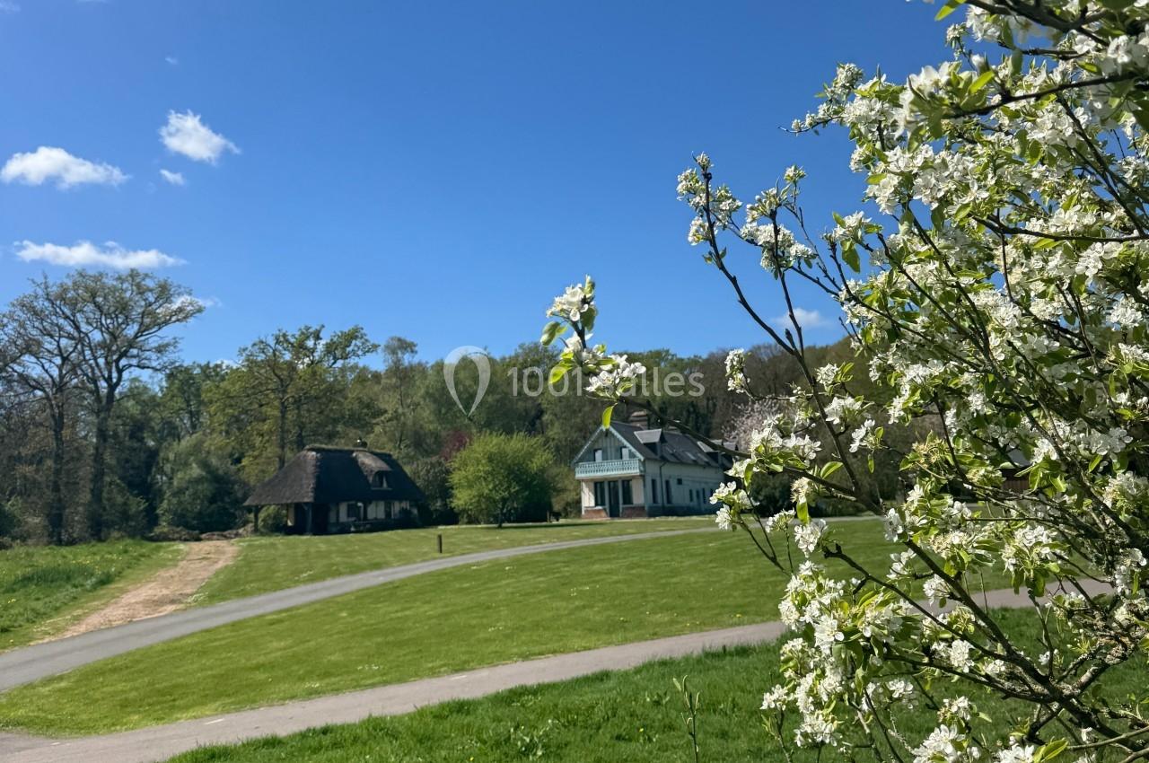 Arbre en fleurs au premier plan avec des maisons rurales et un chemin dans un paysage verdoyant sous un ciel bleu.