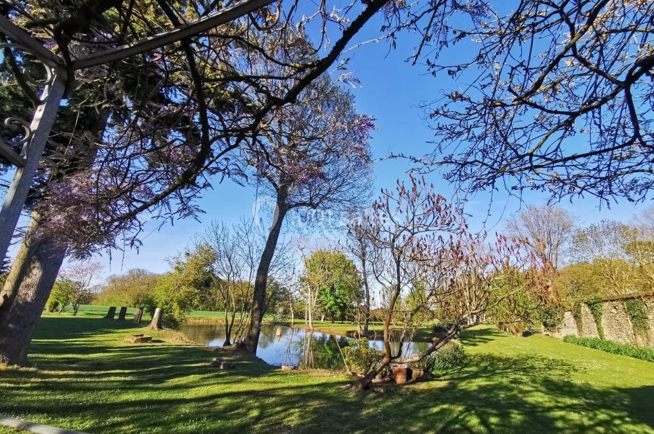 Vue d'un parc verdoyant avec un étang, des arbres en fleurs et un ciel bleu dégagé.