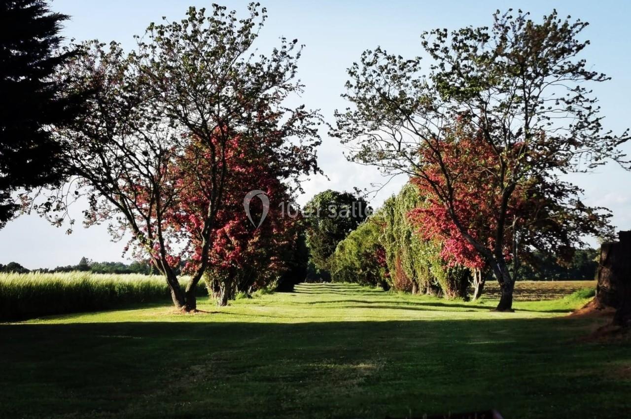 Allée bordée d'arbres aux feuillages rouges et verts, entourée de champs et baignée de lumière naturelle.