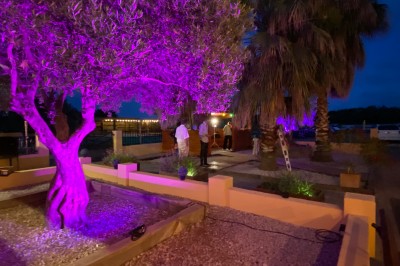 Massif de fleurs violettes au premier plan, terrasse en bois et ciel bleu en arrière-plan.