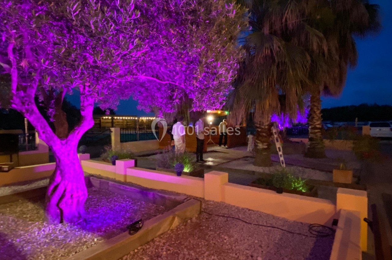 Un jardin éclairé de lumières violettes avec un olivier au premier plan et des palmiers en arrière-plan.