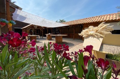 Massif de fleurs violettes au premier plan, terrasse en bois et ciel bleu en arrière-plan.